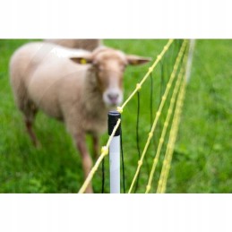 Horizontinis vilkų apsaugos tinklas 50m 0 9