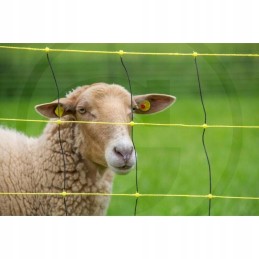 Horizontinis vilkų apsaugos tinklas 50m 0 9