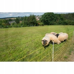 Horizontas avių tinklas 50m x 0 9m 14 kuolų