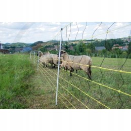 Horizontinis avių tinklas 50m x 105m 14 kuolų