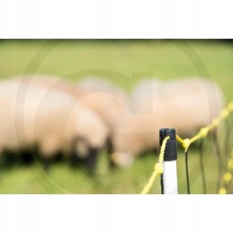 Horizontinis avių tinklas 50m x 105m 14 kuolų