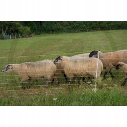 Horizontinis avių tinklas 50m x 105m 14 kuolų