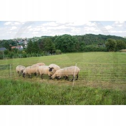 Horizontinis avių tinklas 50m x 105m 14 kuolų