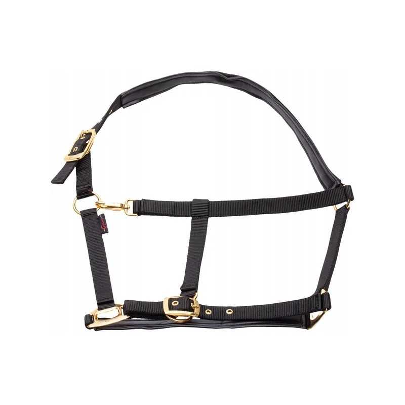 Viršutinė linija juoda xfull arklio apynasris