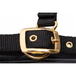 Viršutinė linija juoda xfull arklio apynasris