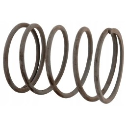 Sankabos spyruoklė tinka SIPMA