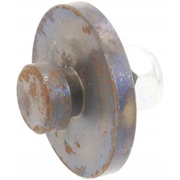 Raspe ašmenų varžtas