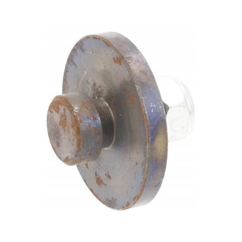 Raspe ašmenų varžtas