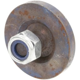 Raspe ašmenų varžtas