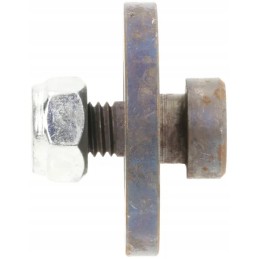 Raspe ašmenų varžtas