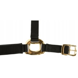 Viršutinė apynasrinė juoda burbuolė