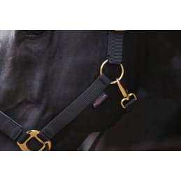 Viršutinė apynasrinė juoda burbuolė