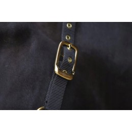 Viršutinė apynasrinė juoda burbuolė