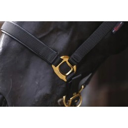 Viršutinė apynasrinė juoda burbuolė