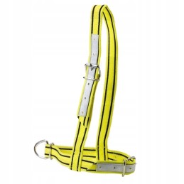 Horizontinis apynasris nailoninis geltonas juodas 570x40mm patvarus