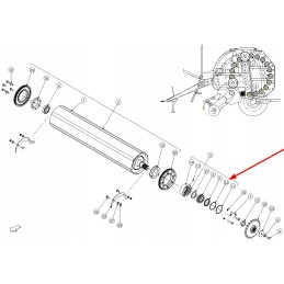 Czc02063 guolio žiedas