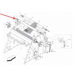 B01300623r ritininis skriemulys