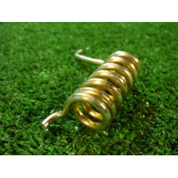 Claas fotoaparato spyruoklė 000023