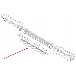 Ctn00025 spyruoklinis pirštas