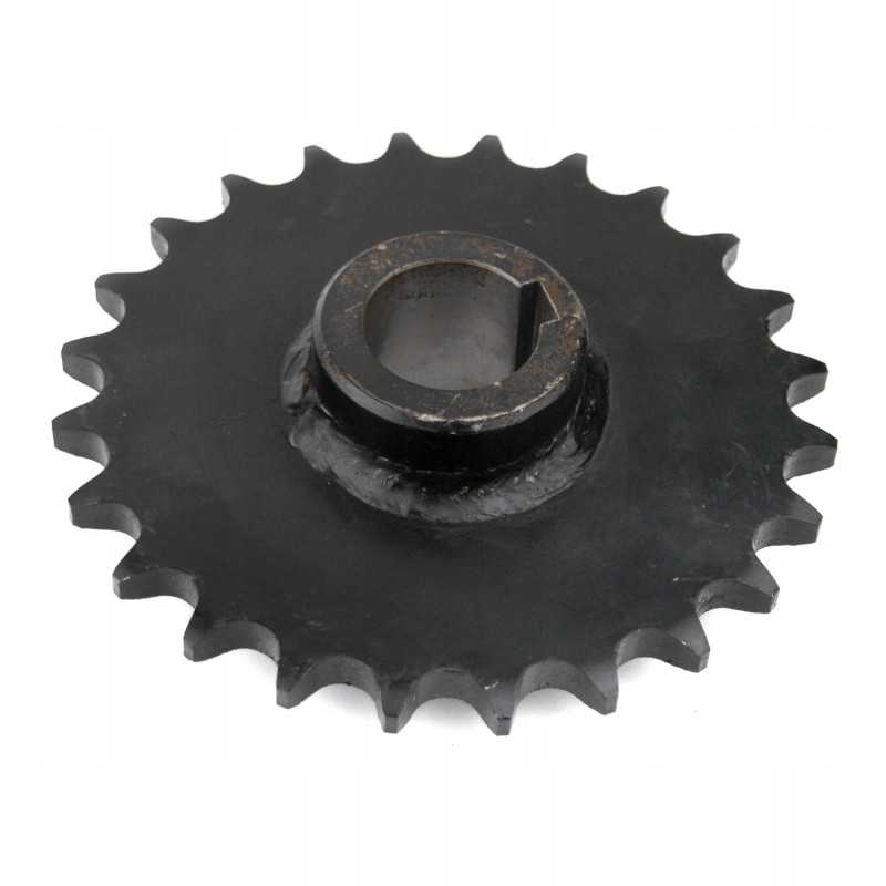 Grandininė žvaigždutė su 24 sipma su 569 556928056000