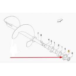 Bg3308078 įtempiklio žvaigždutė 13 dantų