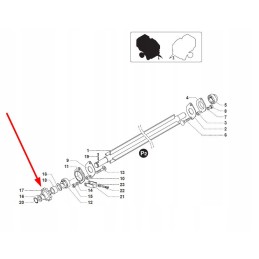 Bg3902627 grandinės žvaigždutė