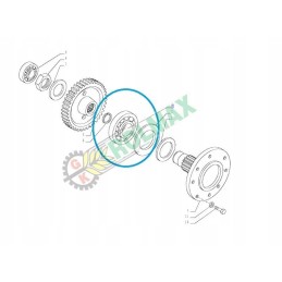 New Holland TD5 korpusas 84481249 CNH guolis