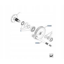 New Holland TD5 korpusas 84481249 CNH guolis