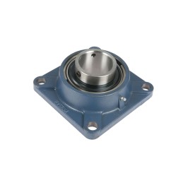 B02364060r guolis su korpusu