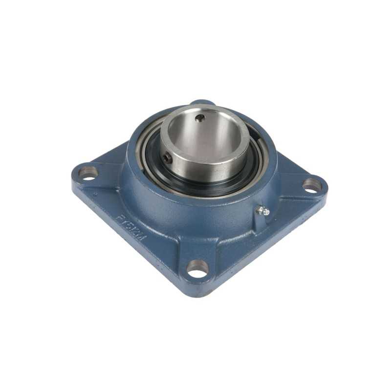 B02364060r guolis su korpusu