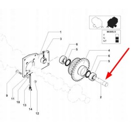 Bg3320506 krumpliaračio velenas