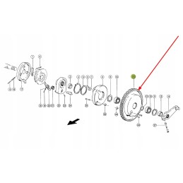 816681 0 mazgo veleno sankabos pavara