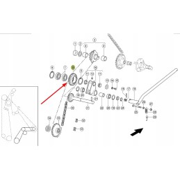 843435 1 krumpliaratis 13 dantu