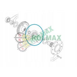 New Holland TD5 korpusas 84481249 guolis