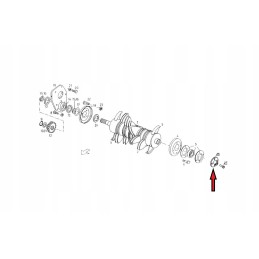 Diskas su vairuotoju 5595 127 00 210 Unia Famarol