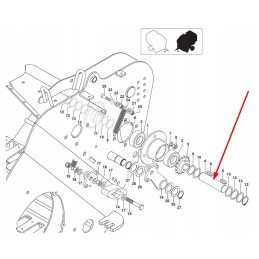 Bg3908b58 žvaigždučių velenai