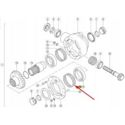 213722 1 pavaros tarpiklis 141 x 187