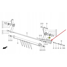 817429 1 grandiklio guma