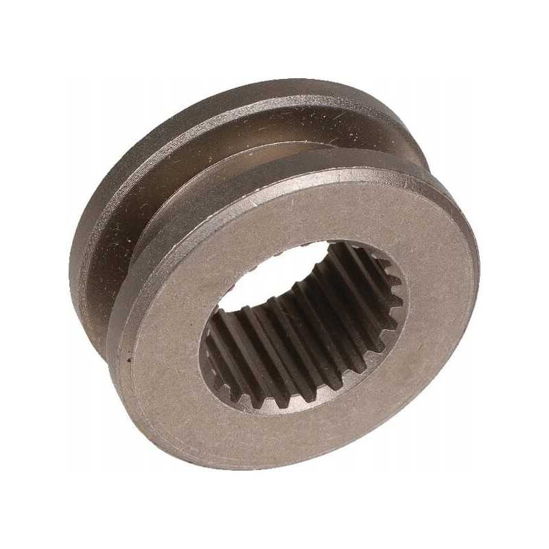 Pavaros rankovė p786197