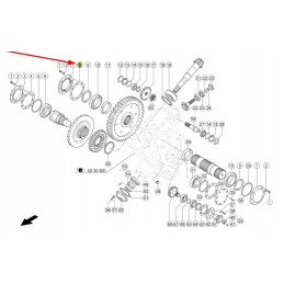 850569 0 pavaros sandariklis