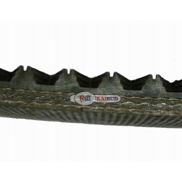 Juosta John Deere Raibud preso kamerai