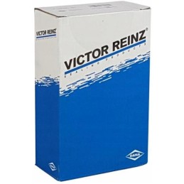 Reinz galvos tarpiklis 61 35875 00