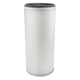 Baldwin PA5529 oro filtro įdėklas