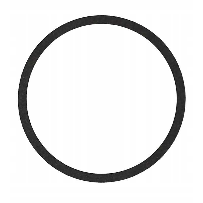 Termostato tarpiklis doosan 65 06901a0069