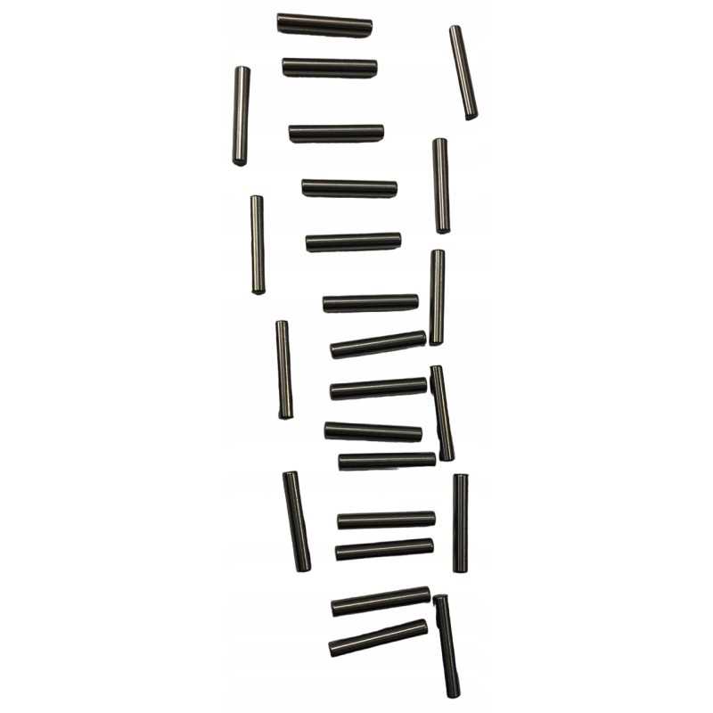 Cilindro kaištis m2x170 ir pg m2x150