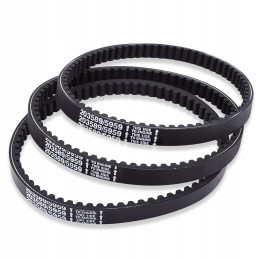 Kartingo pavaros diržas, 3 vnt