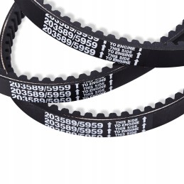 Kartingo pavaros diržas, 3 vnt