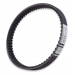 Kartingo pavaros diržas, 3 vnt