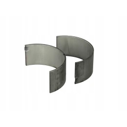 Švaistiklio guolis daf 45 55 cf 65 f 1000 f 6