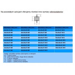 Variklio pagalvė, vibracijos izoliatorius, 40x50 m8 a